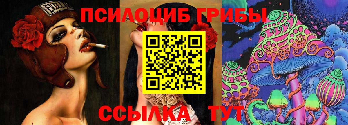 Благодарный  сколько стоит  Вход с VPN  Галлюциногенные грибы Psilocybine cubensis 