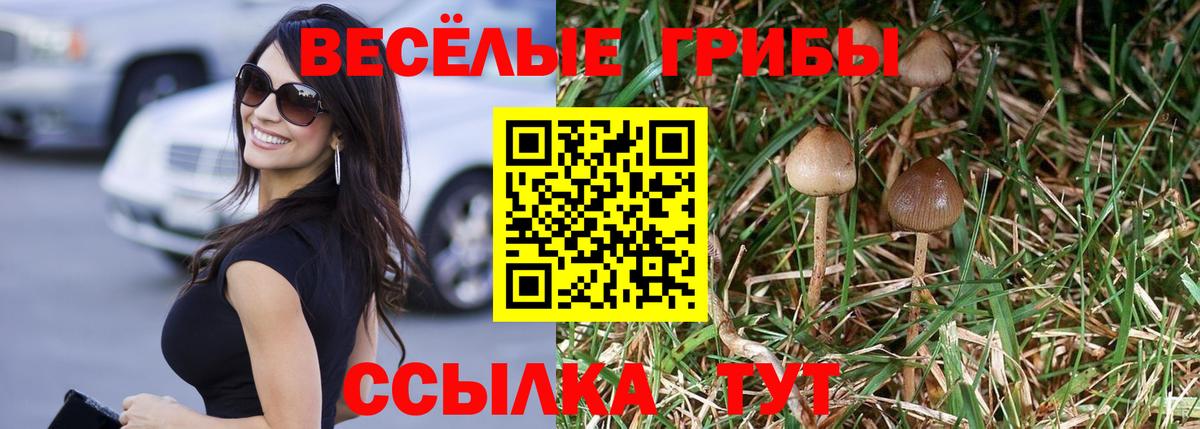 Псилоцибиновые грибы мицелий Благодарный